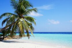 في أي قارة تقع جزر المالديف؟