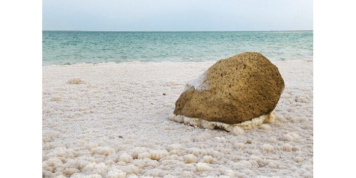 كم ضعف تزيد ملوحة البحر الميت؟