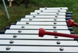 ما معنى كلمة xylophone بالانجليزي؟