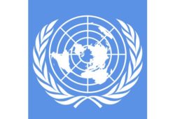 ما هو دور هيئة الأمم المتحدة