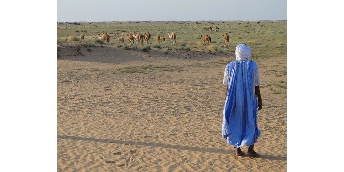 متى انضمت موريتانيا لجامعة الدول العربية؟